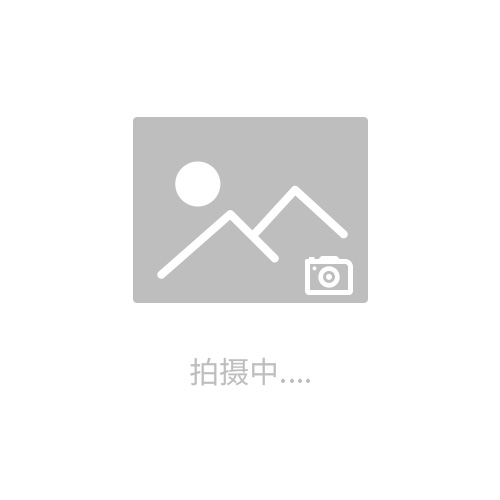 煙氣在線硅膠墊CEMS風速管CEMS氧傳感-閥位傳送器 CEMS氧傳感